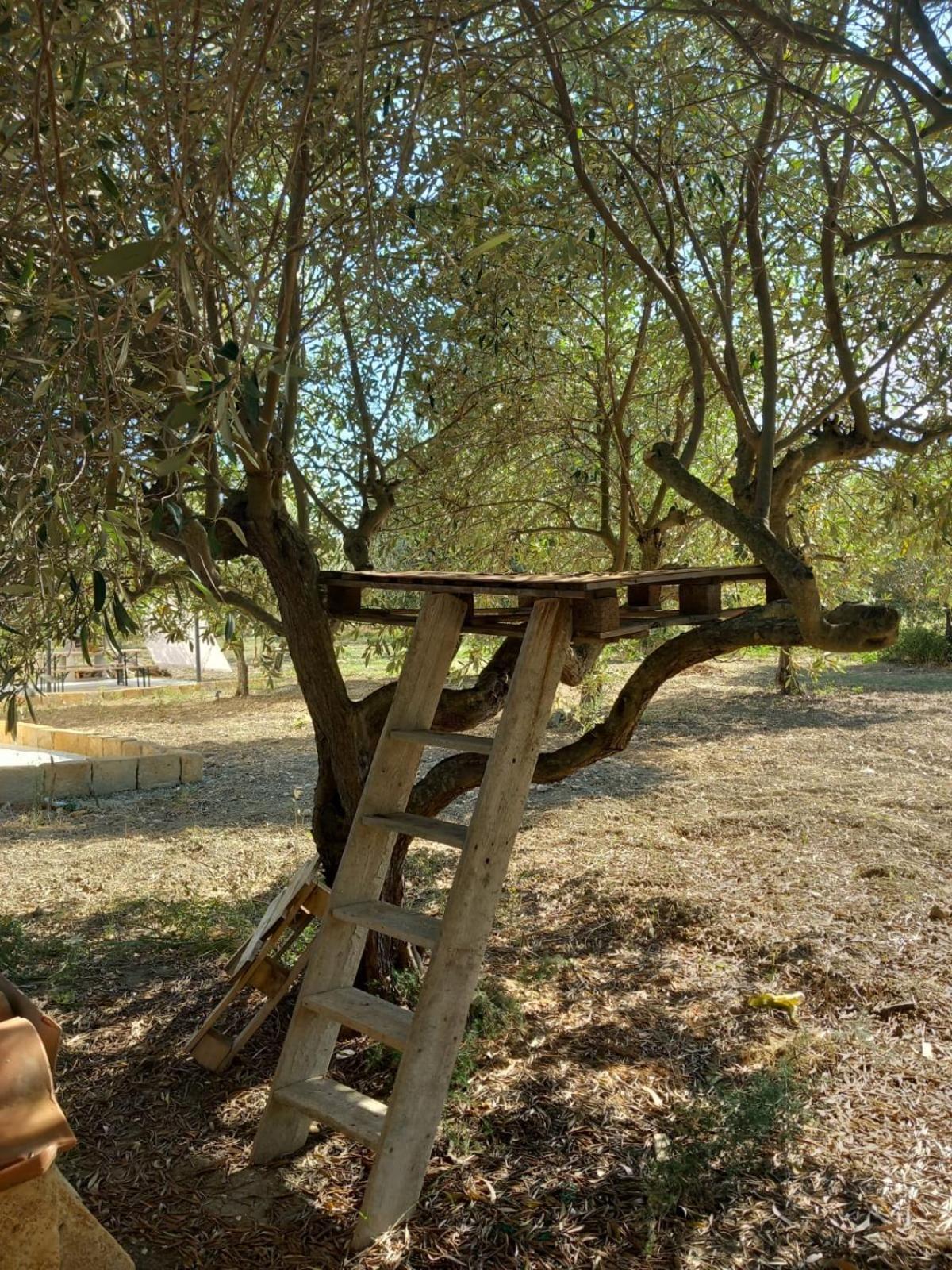 Casa Country Villa อากริเจนโต ภายนอก รูปภาพ